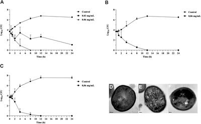 Hydrogel Containing Oleoresin From Copaifera officinalis Presents Antibacterial Activity Against Streptococcus agalactiae